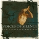 Voices of Silence - Thunderground